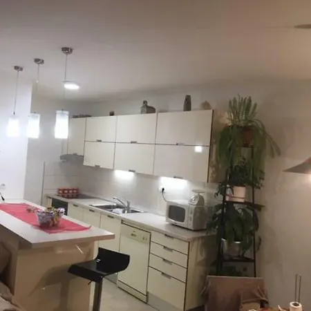 Apartment Roza