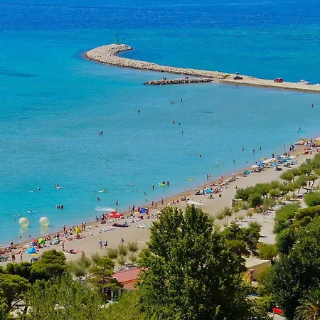 Roza Omis
